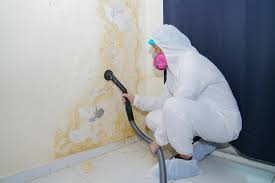 Best Mold Documentation for Insurance Claims in USA